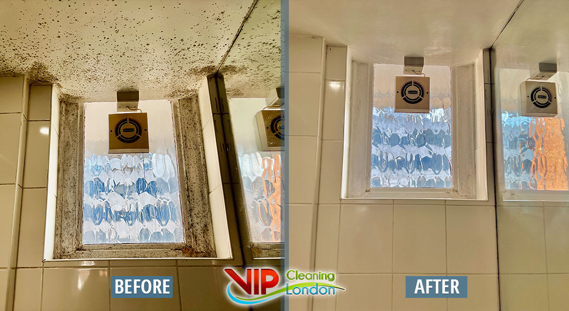 Deep Bathroom Mould Cleaning Service Before and after. 