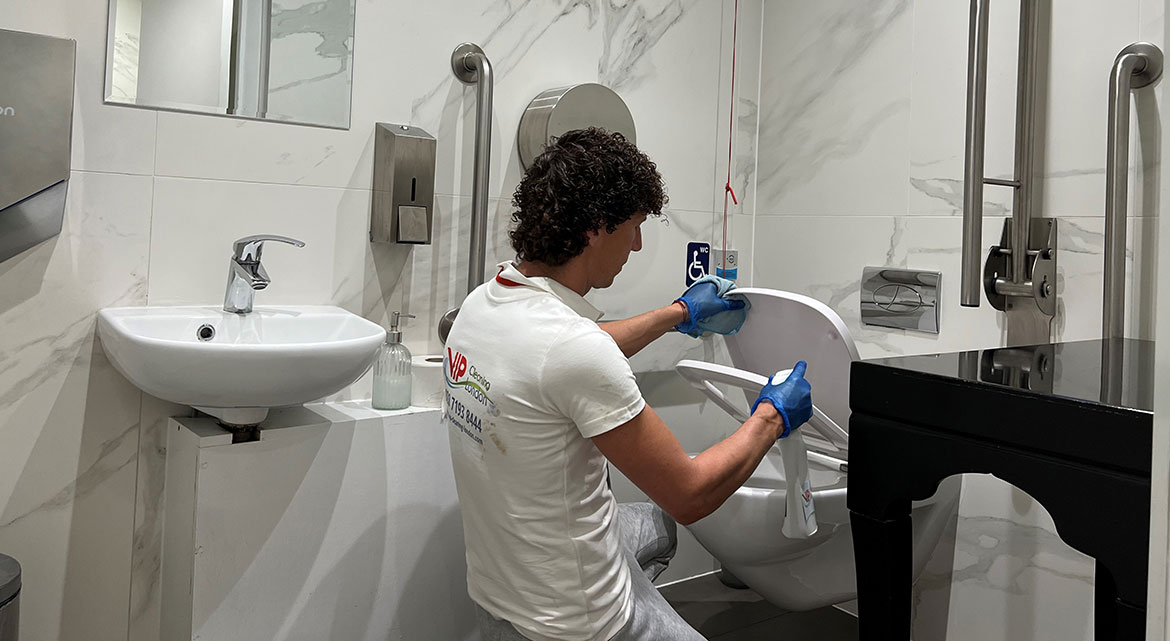 Toilet Bar Cleaning