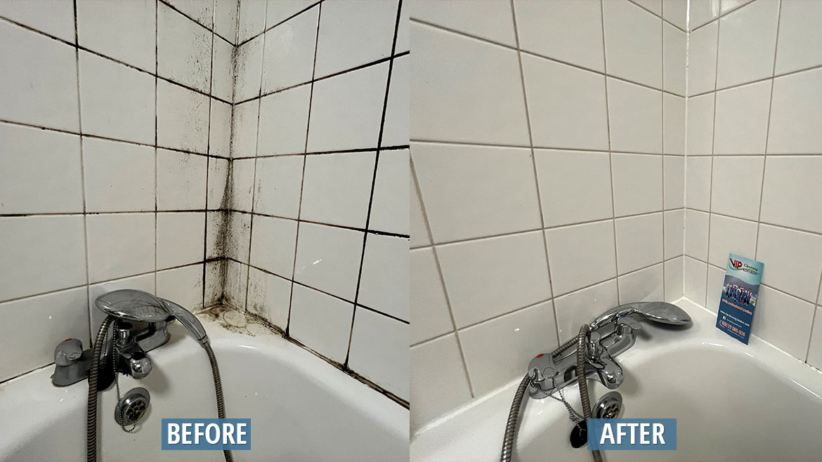 Professional Bathroom Mold Cleaners